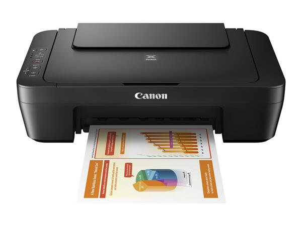 Canon PIXMA MG2550S Printer