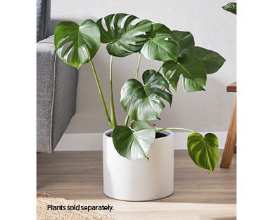 Large Ceramic Planter