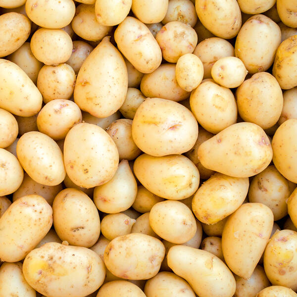 Deutsche Speisekartoffeln