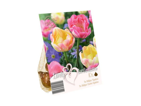 Colour Mix Bulbs