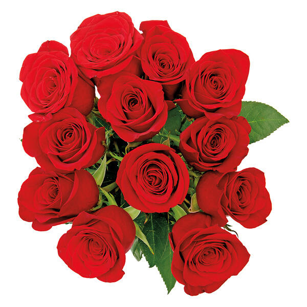 12 Roses Bouquet