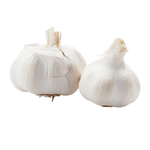 Knoblauch