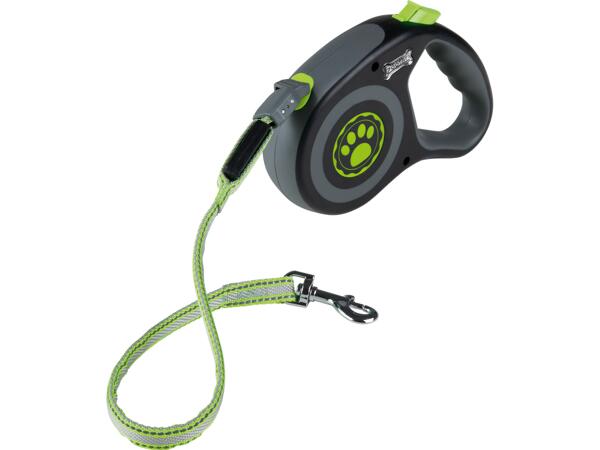 Dog Leash with LEDs