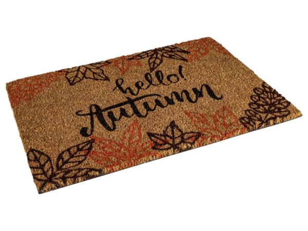 Coir Doormat