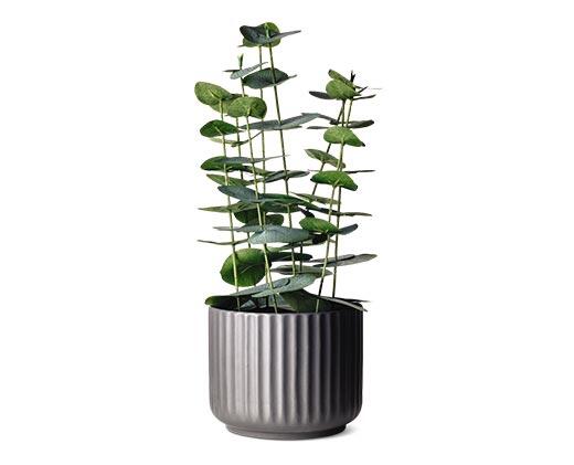 Huntington Home 
 Decorative Faux Plant