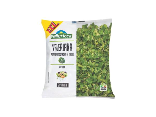 Lamb's Lettuce