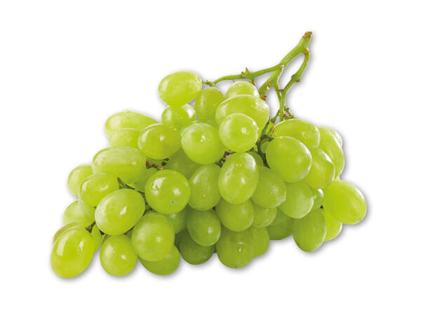 Grønne stenfri vindruer