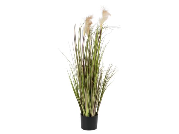 Artificial Plant