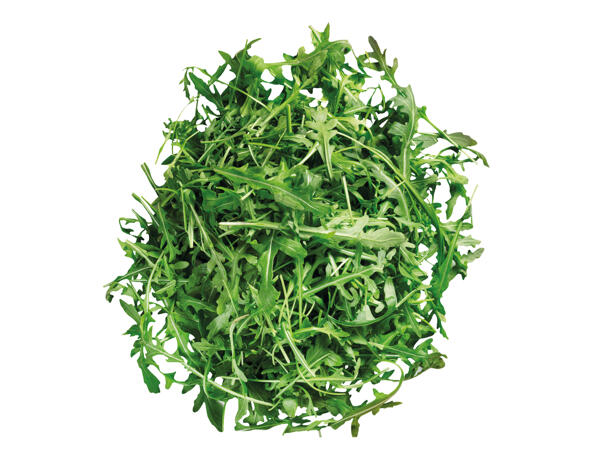 Mix-Salat oder Rucola