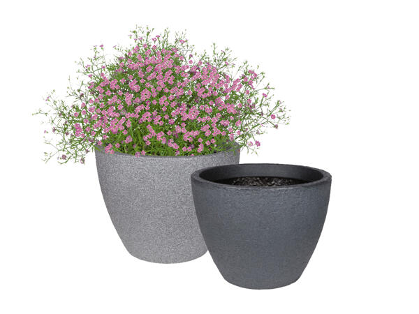 Blomkruka