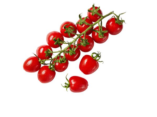 Piccadilly Tomatoes