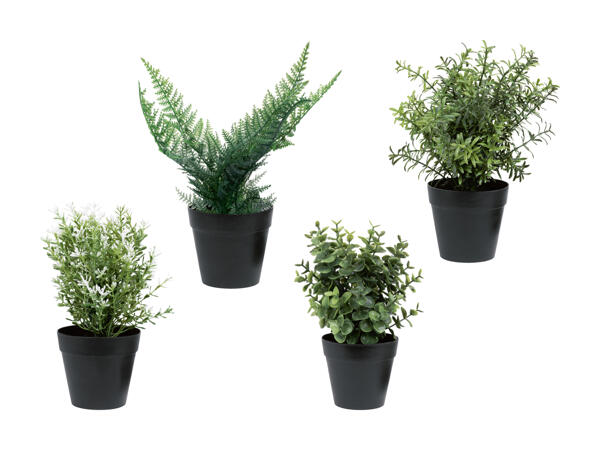 Plantes artificielles