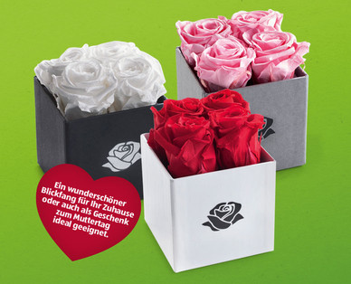 Exklusive Rosenbox