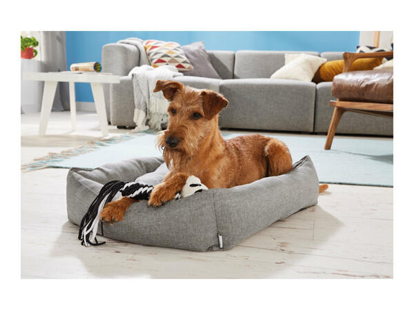 Zoofari Dog Bed