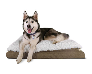 Heart to Tail Pillow Top Orthopedic Pet Bed