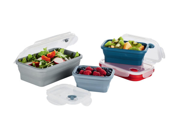 Collapsible Storage Containers
