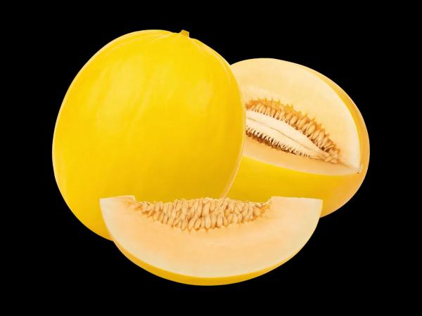 Honigmelone