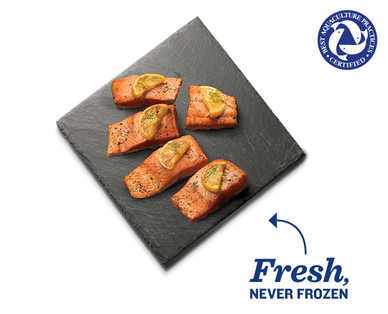 Fresh Farmed Coho Salmon
