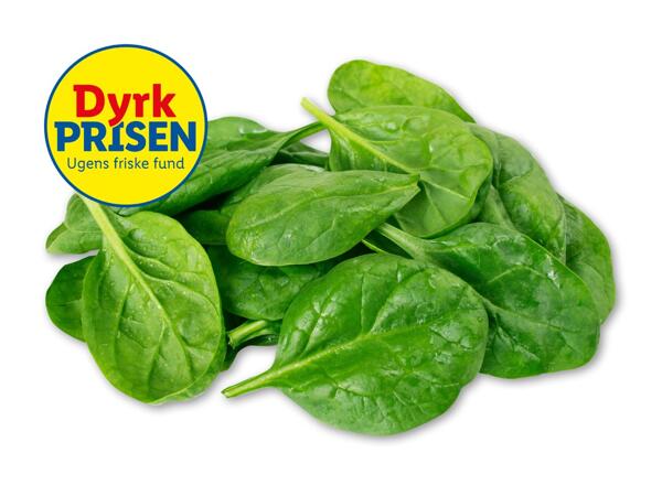 Frisk spinat