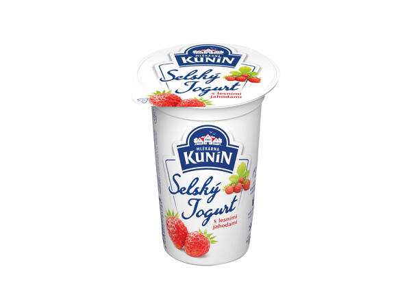 SELSKÝ JOGURT OCHUCENÝ