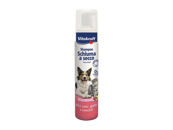 Dry Foam Shampoo