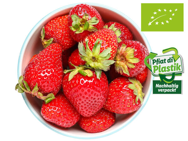 Bio Erdbeeren