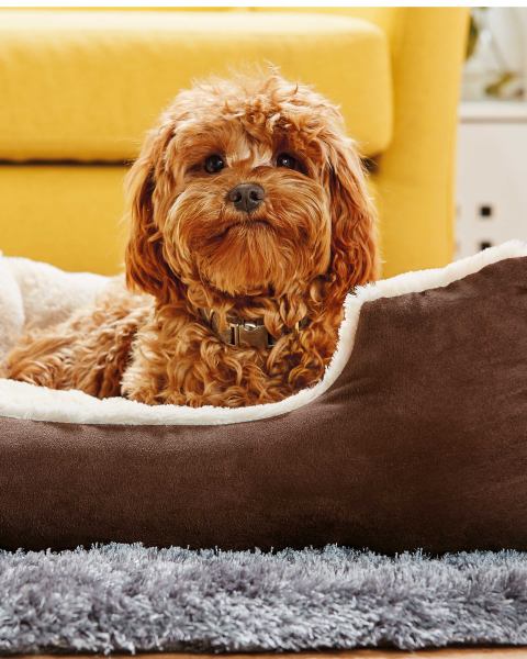 Pet Collection Medium Pet Bed