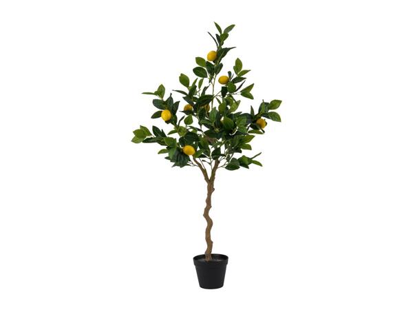 Livarno Home Artificial Lemon Tree