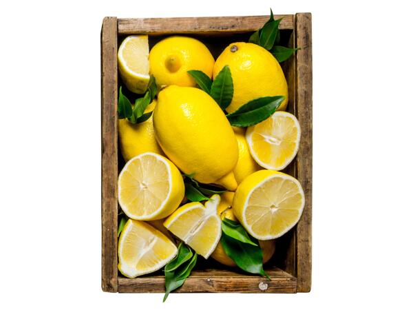 Citroner