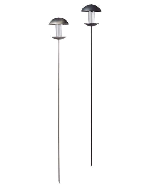 Bird Feeding Station