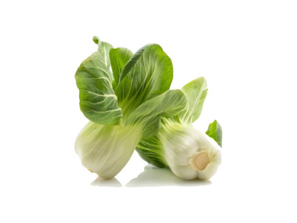 Pak Choi