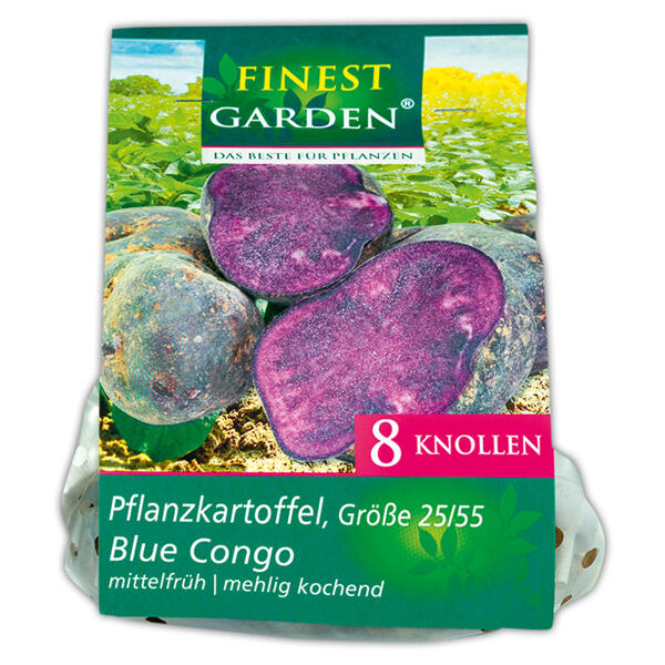 Pflanzkartoffeln