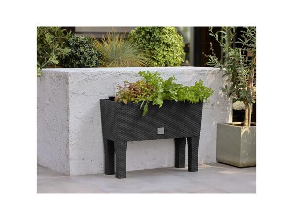 2-in-1 Raised Planter