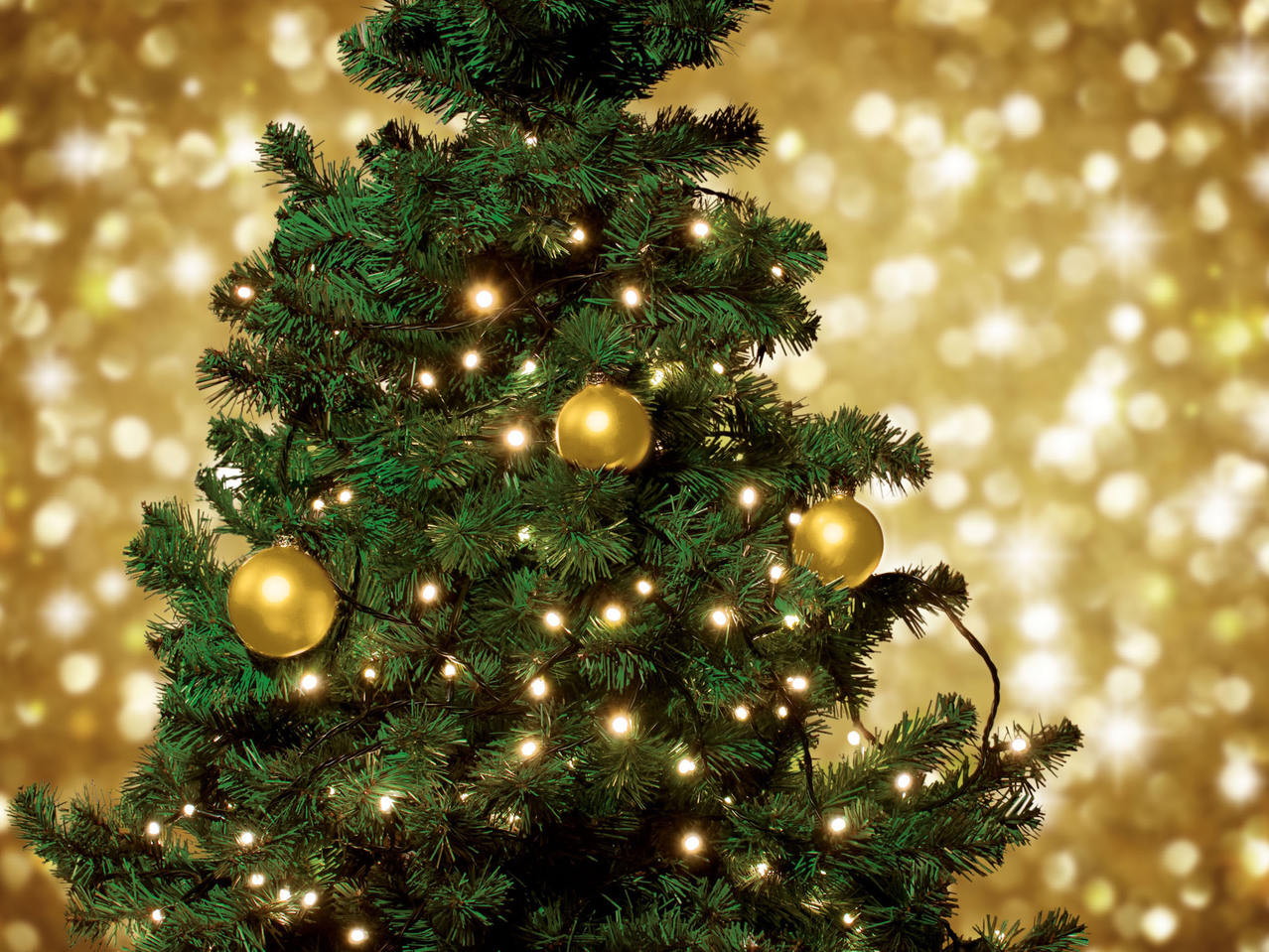 Battery-Operated LED Fairy Lights