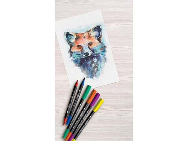 Watercolour Felt Tip Pens