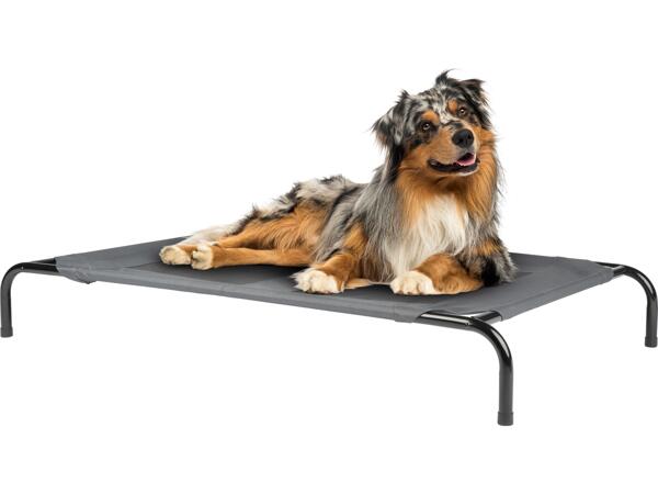 Dog Bed