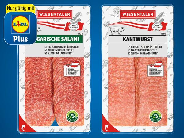 Ungarische Salami oder Kantwurst
