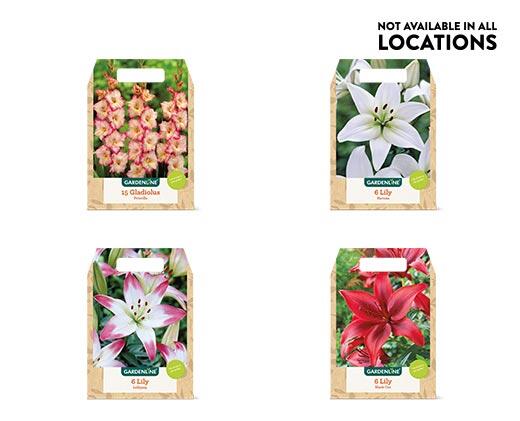 Gardenline Spring Bulbs Assorted Varieties