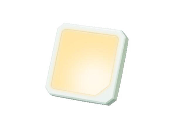 LED Night Light