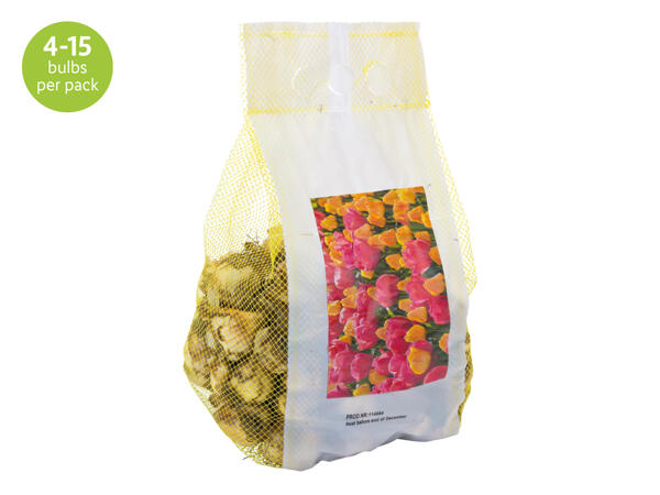 Landscape Mix Bulbs