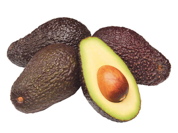 Avocado