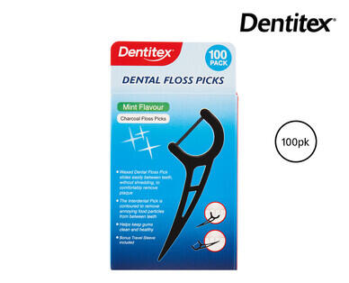 Disposable Dental Floss Picks 100pk