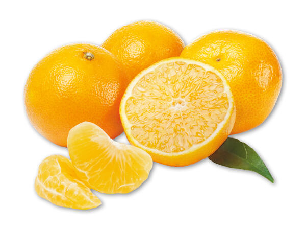 Mandariner