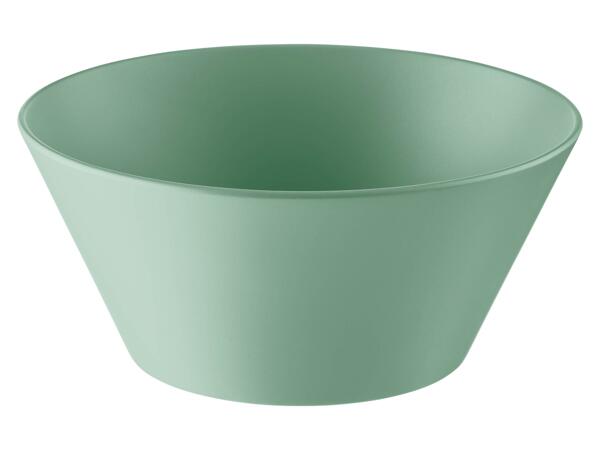 Reusable plate, bowl or tumbler