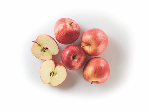 Gala Red Apples