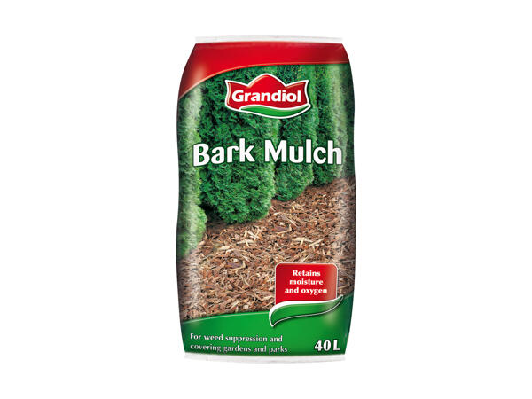 Barkflis