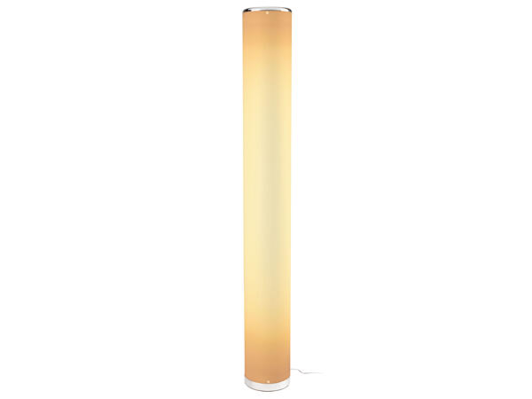 LED Floor Lamp