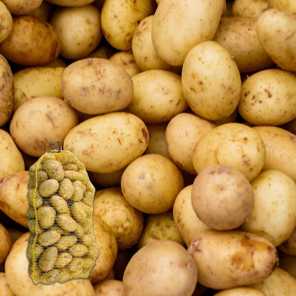 Pommes de terre de consommation XXL