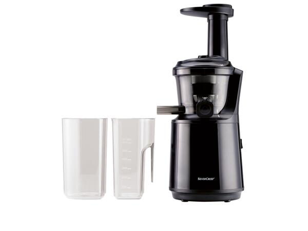 300W Slow Juicer
