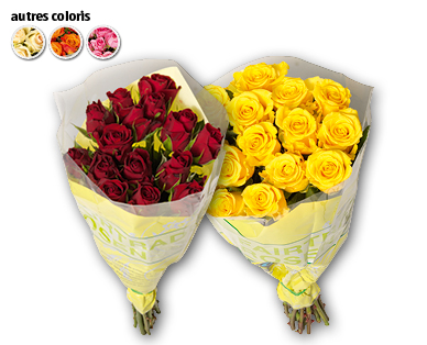 Roses Fairtrade Max Havelaar GARDENLINE(R)
